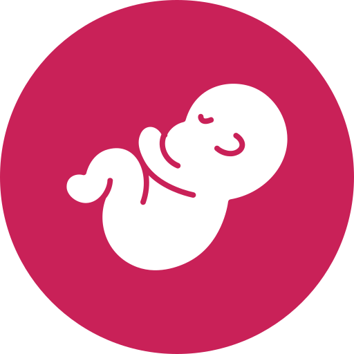 The Birth wound icon
